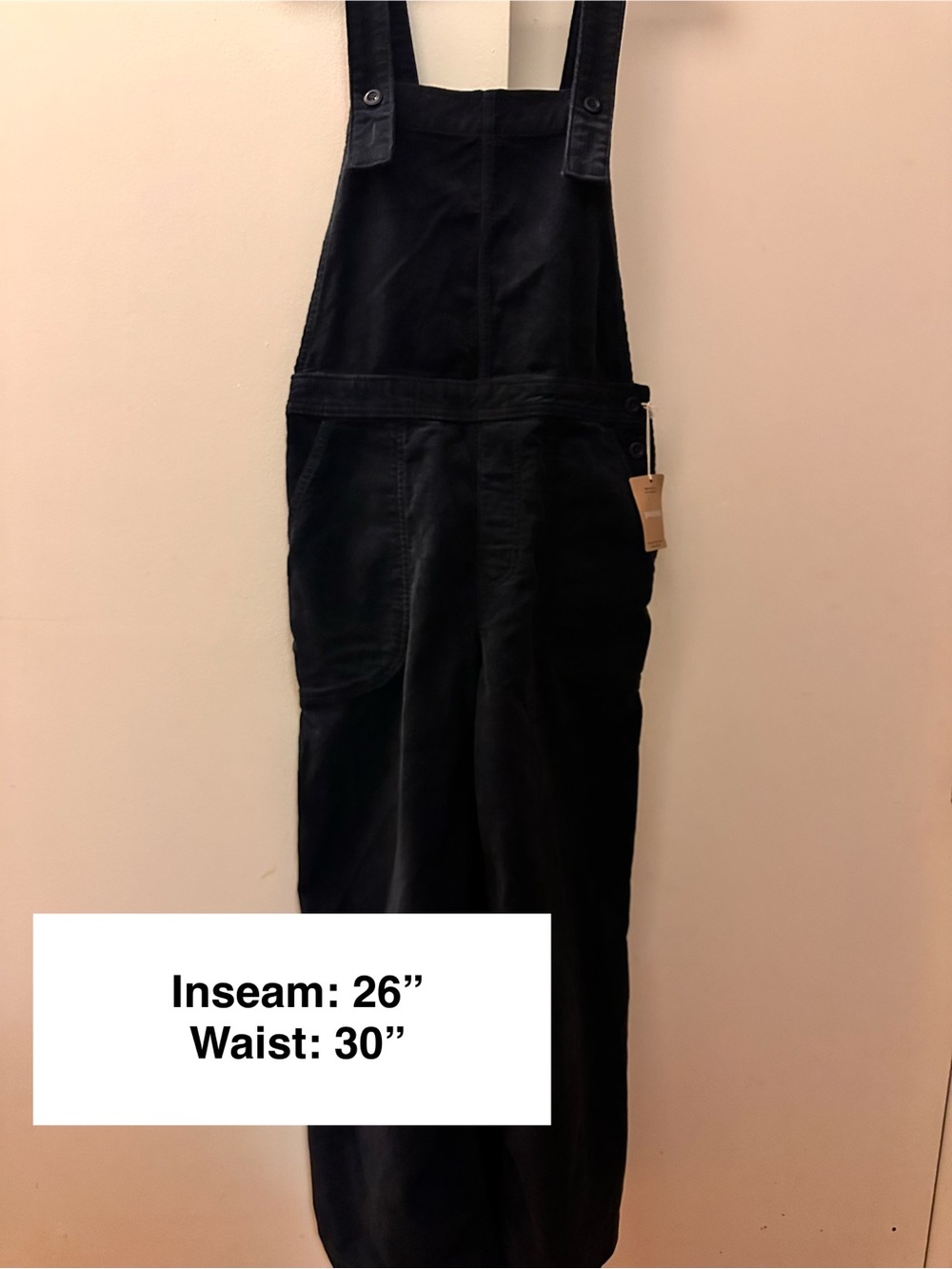 Patgonia Stand Up Cropped CorduroyOveralls Aesthetic